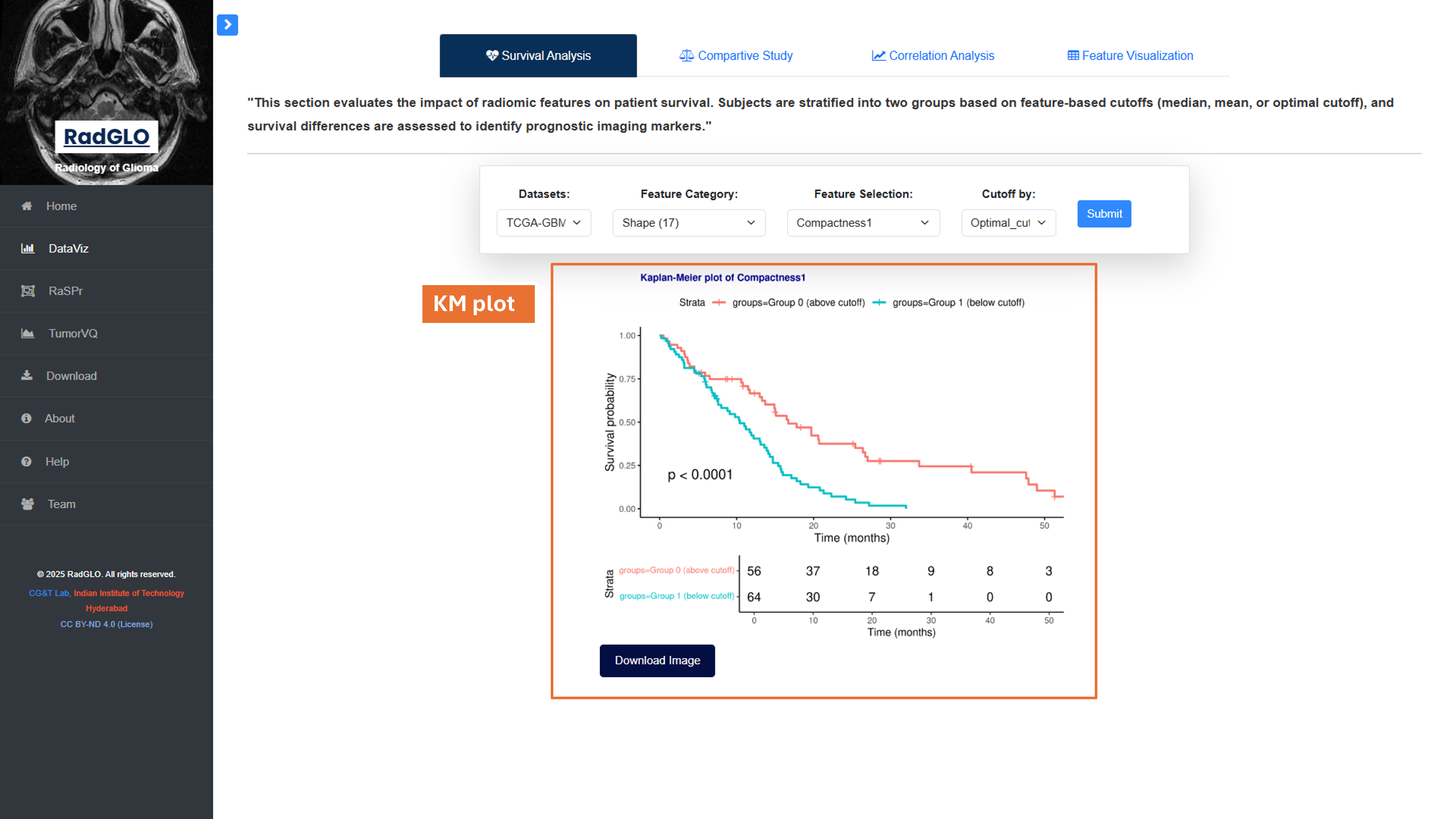 Comparative Analysis Screenshot